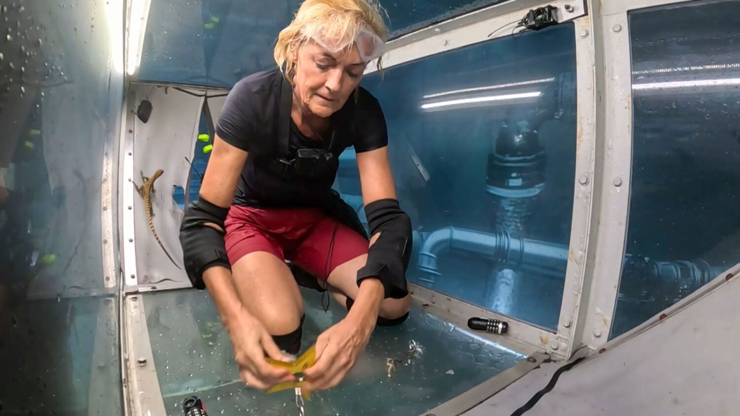 Jane skipped a lot of the underwater tasks (Credit: ITV/Shutterstock)